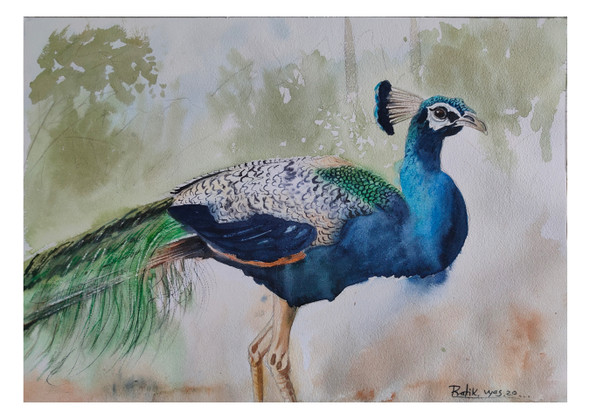 Peacock (ART_8295_60539) - Handpainted Art Painting - 20in X 14in