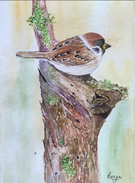 Sparrow (ART_7299_61152) - Handpainted Art Painting - 10in X 7in