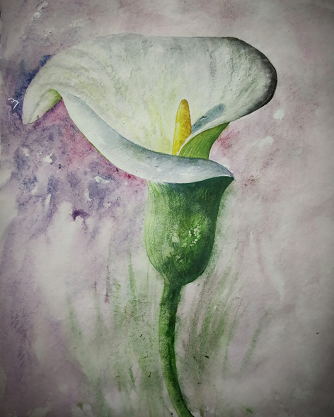 Calla lily- the solo beauty (ART_7654_61176) - Handpainted Art Painting - 11in X 15in