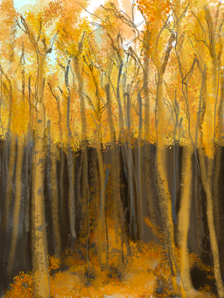 Forest Fire (PRT_7377_61431) - Canvas Art Print - 12in X 18in