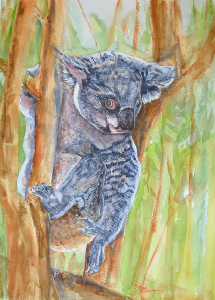 Koala (ART_1559_13288) - Handpainted Art Painting - 10in X 14in