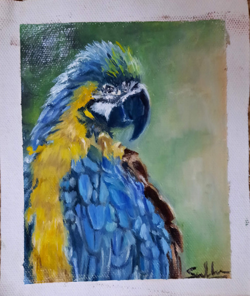The macaw (ART_7455_62430) - Handpainted Art Painting - 4in X 6in