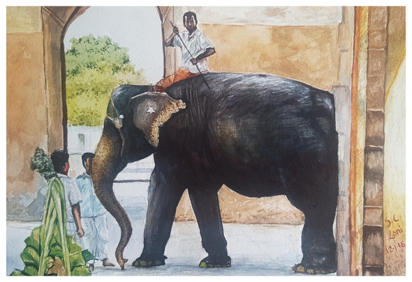 Grace of Elephant (ART_8116_62603) - Handpainted Art Painting - 14in X 10in