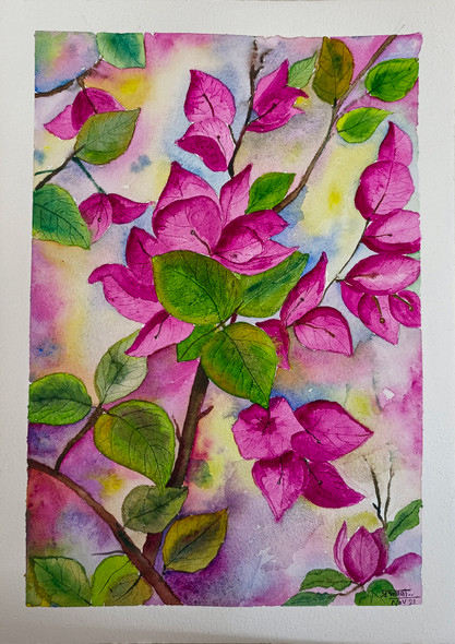 Bougainville (ART_8183_62747) - Handpainted Art Painting - 11in X 16in