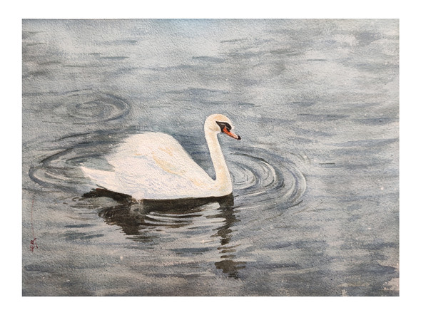 Watercolor swan (ART_1559_62717) - Handpainted Art Painting - 14in X 10in