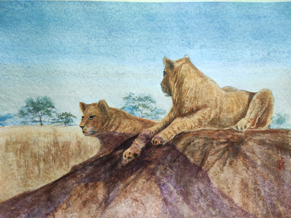 Lions (ART_1559_62880) - Handpainted Art Painting - 17in X 12in