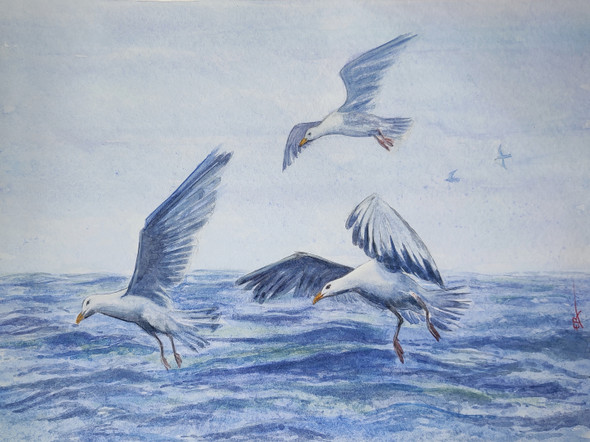 Sea Gulls (ART_1559_62876) - Handpainted Art Painting - 17in X 12in