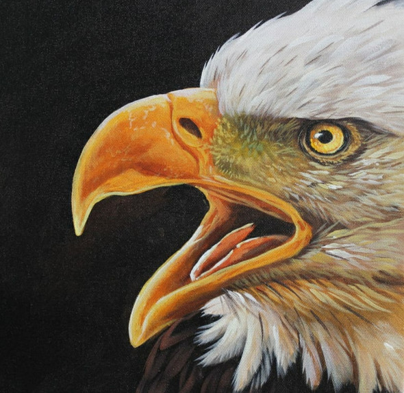Realistic Bald Eagle By ARTOHOLIC (ART_3319_63394) - Handpainted Art Painting - 24in X 24in