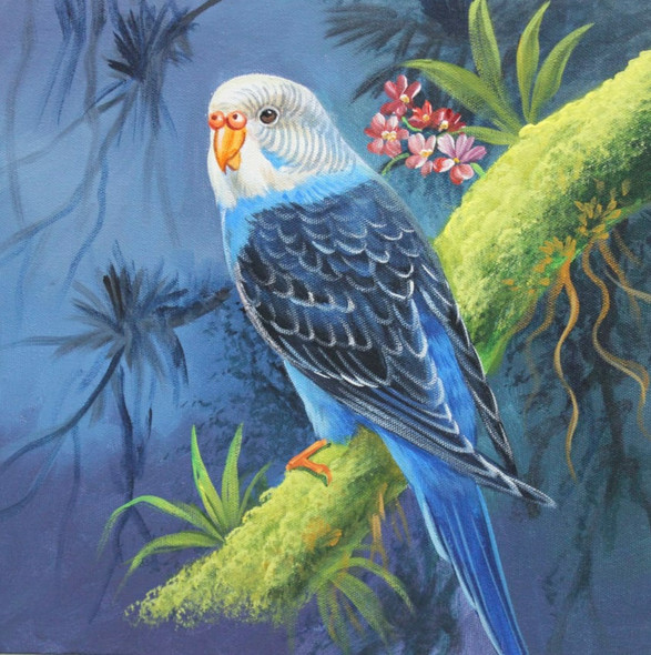 Budgerigar Parrot By ARTOHOLIC (ART_3319_63393) - Handpainted Art Painting - 24in X 24in