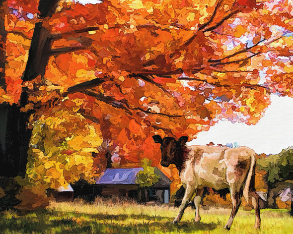 Cows Trees  (PRT_7809_63893) - Canvas Art Print - 36in X 28in