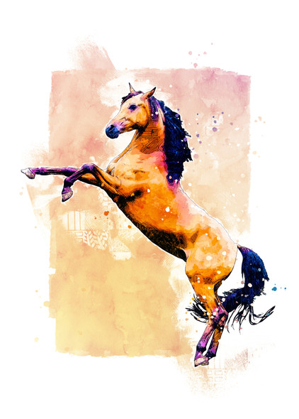 Horse Stallion Rearing (PRT_7809_63881) - Canvas Art Print - 36in X 50in