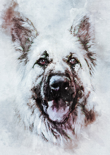 Animal Dog German Shepherd Dog Look Adult Dog (PRT_7809_63871) - Canvas Art Print - 36in X 50in