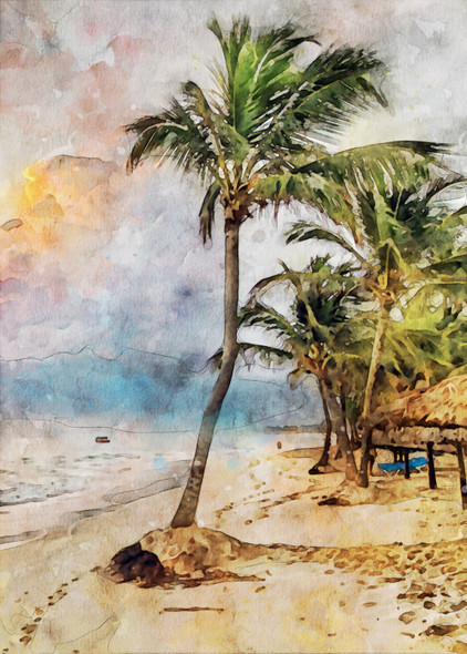 Beach Dominican (PRT_7809_64572) - Canvas Art Print - 17in X 24in