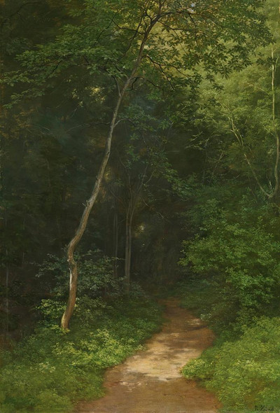 Waldweg Forest Track By Robert Z√ºnd (PRT_13715) - Canvas Art Print - 18in X 26in