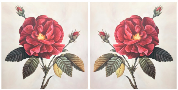 ROSE FLOWERS PAINTING ON WALL BY ARTOHOLIC (ART_3319_65093) - Handpainted Art Painting - 24in X 12in