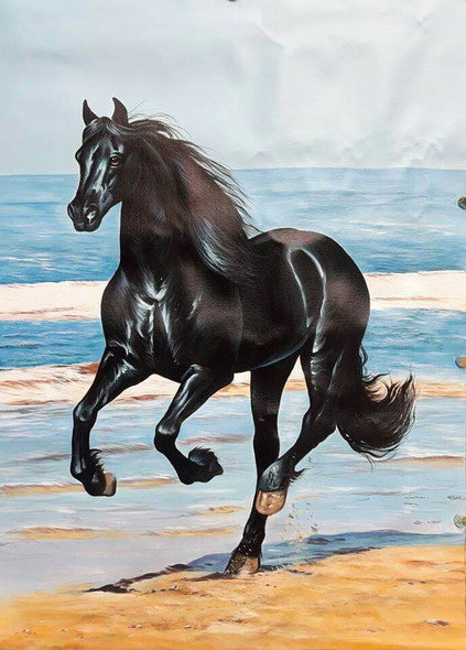 HORSE PAINTING AS PER VASTU BY ARTOHOLIC (ART_3319_64864) - Handpainted Art Painting - 24in X 36in