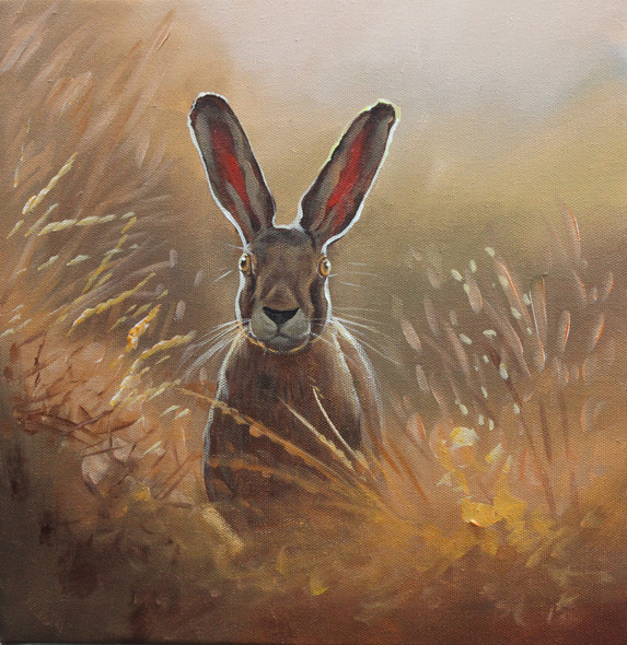 Rabbit In Sunlight BY ARTOHOLIC (ART_3319_64725) - Handpainted Art Painting - 30in X 30in