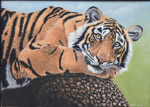 TIGER REST ON TREE (ART_8510_65518) - Handpainted Art Painting - 21in X 15in