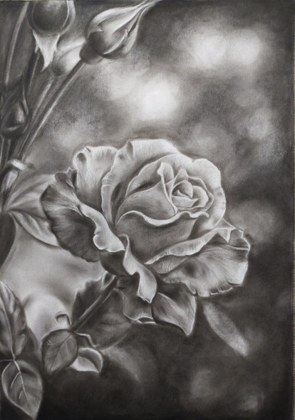 Rose (ART_1304_65768) - Handpainted Art Painting - 11in X 15in