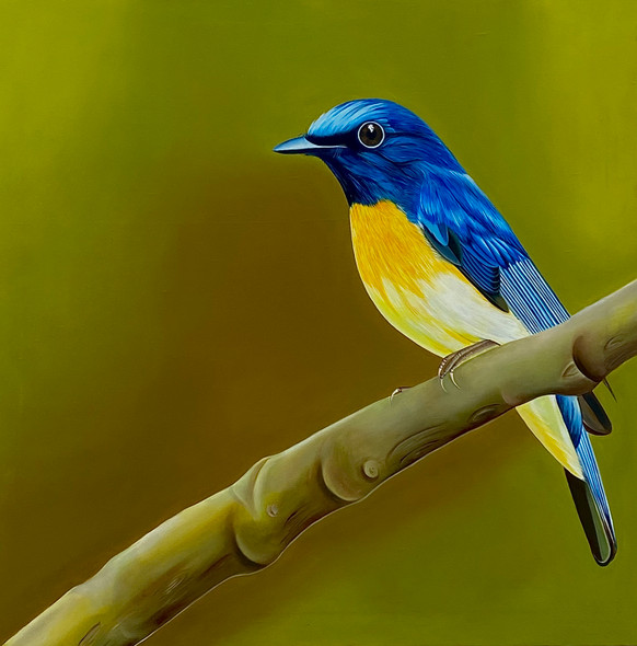 Blue-throated flycatcher bird with sparkling  eye (ART_8545_66085) - Handpainted Art Painting - 30in X 30in