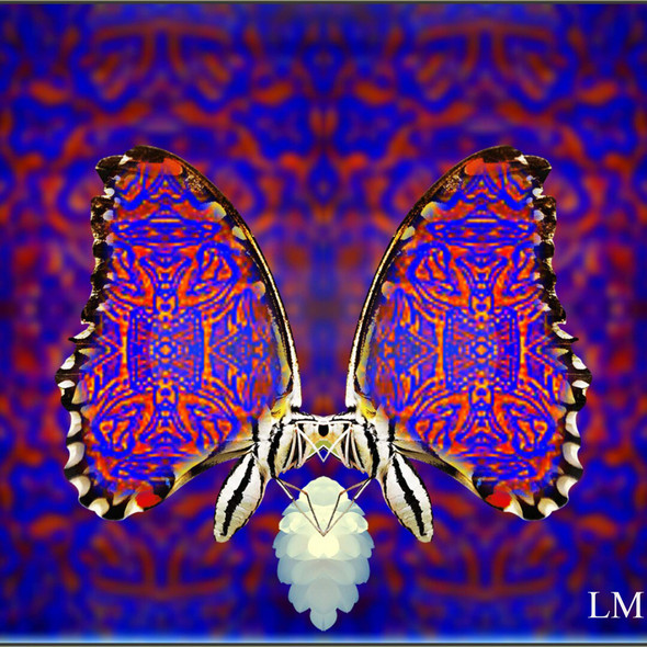 Butterfly Effect (PRT_8537_65956) - Canvas Art Print - 24in X 24in