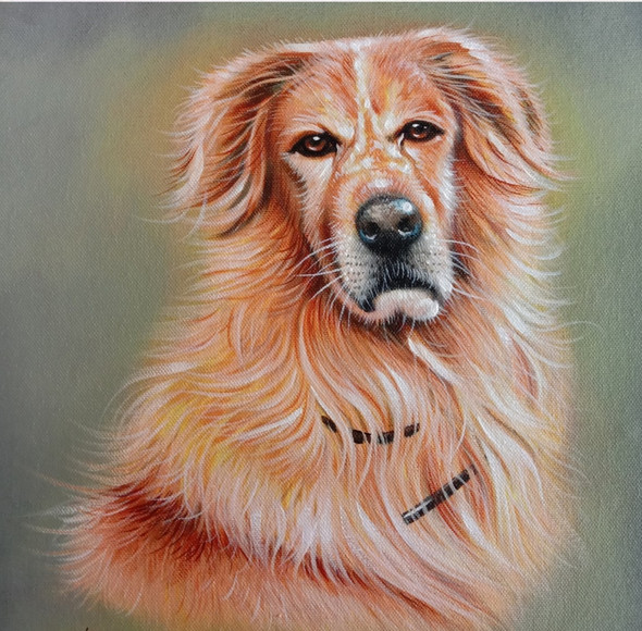 Adoring Dog Handpainted Art Painting 24in X 24in (ART_8563_66335) - Handpainted Art Painting - 24in X 24in