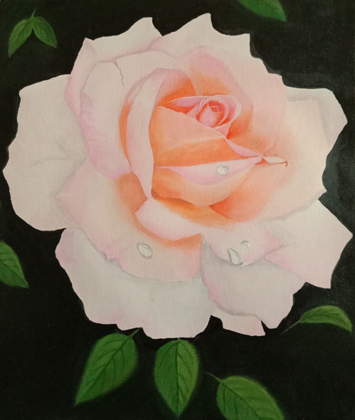 White rose with water droplets  (ART_8397_62719) - Handpainted Art Painting - 10in X 12in