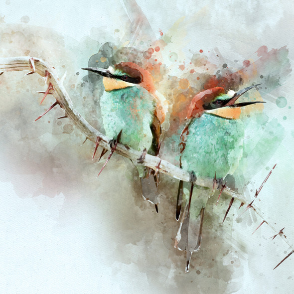 Bee-Eater Bird 2 (PRT_7809_66963) - Canvas Art Print - 30in X 30in