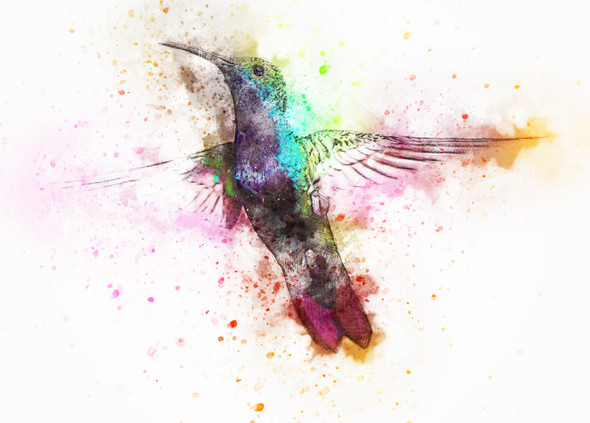 Bird Animal  (PRT_7809_67211) - Canvas Art Print - 31in X 22in