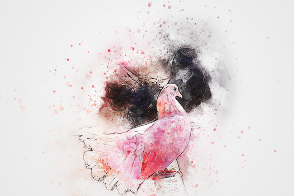 Bird Animal  (PRT_7809_67207) - Canvas Art Print - 32in X 21in