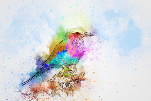 Bird Animal  (PRT_7809_67205) - Canvas Art Print - 32in X 21in
