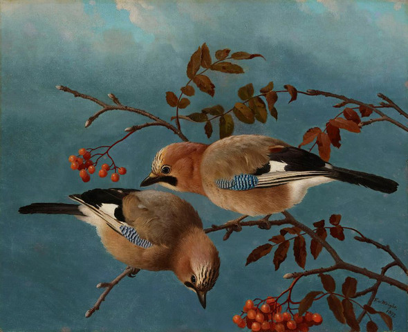 Jays (1877) (PRT_15335) - Canvas Art Print - 23in X 19in