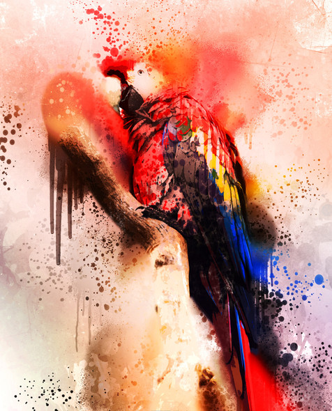 Bird  Red Blue (PRT_7809_67270) - Canvas Art Print - 26in X 32in