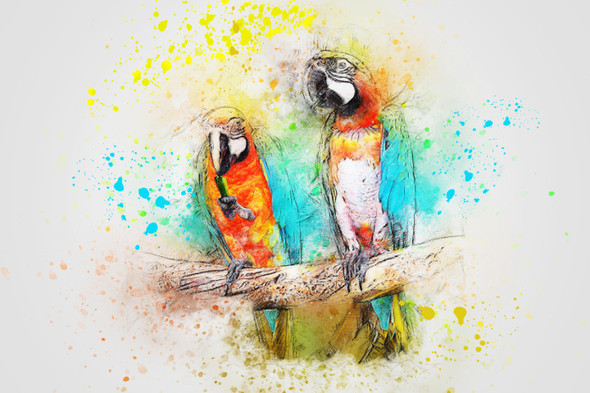 Bird Parrot  (PRT_7809_67368) - Canvas Art Print - 28in X 18in
