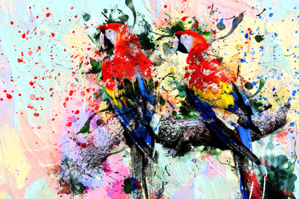 Buy Parrot 02 - Illustrative, Realistic Painting Online | Fizdi