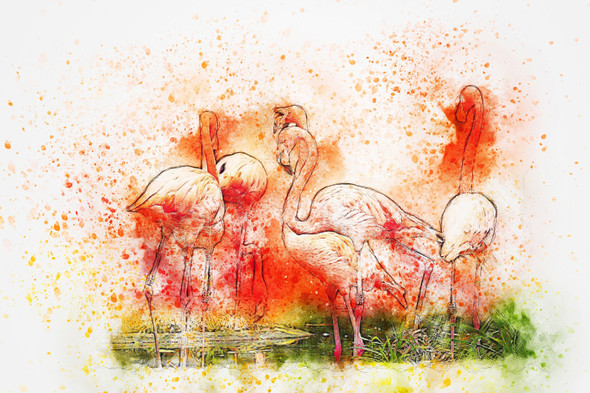 Bird Flamingos  (PRT_7809_67341) - Canvas Art Print - 30in X 20in