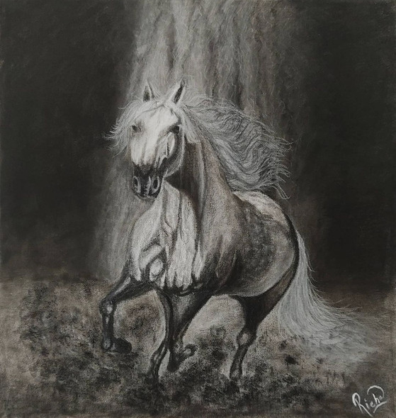 Ash Horse (ART_5743_67600) - Handpainted Art Painting - 16in X 20in