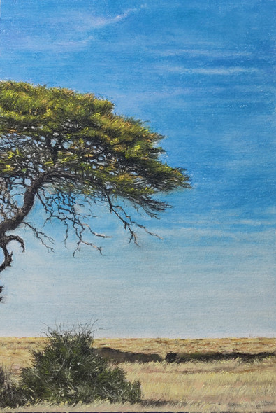 Sunny Bushveld - A South African Landscape  (ART_8567_67590) - Handpainted Art Painting - 11in X 17in