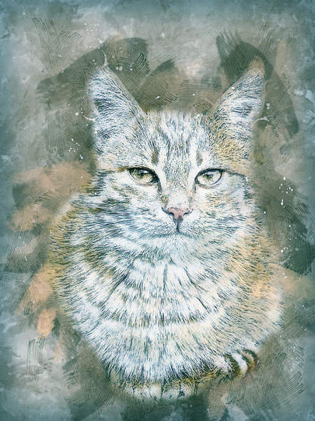 Cat Pet  (PRT_7809_67827) - Canvas Art Print - 23in X 30in
