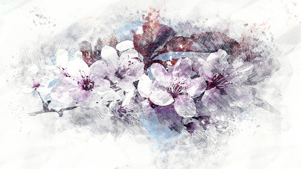 Cherry_Blossom (PRT_7809_67928) - Canvas Art Print - 24in X 13in