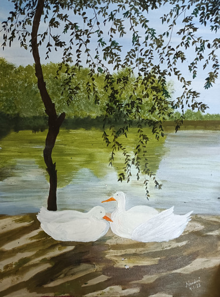 Couple ducks in the sun (ART_8657_68349) - Handpainted Art Painting - 18in X 24in
