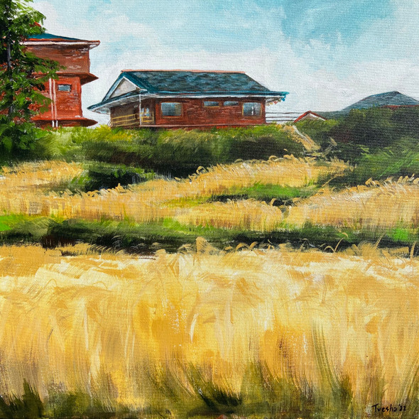 Wheat Fields at Barot (ART_6676_68717) - Handpainted Art Painting - 24in X 24in