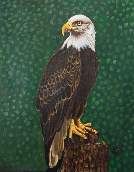 Eagle (ART_329_68856) - Handpainted Art Painting - 9in X 11in