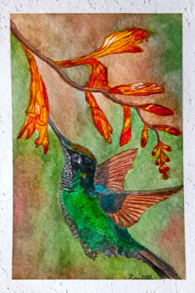 Humming Bird Attracted Towards Flowers. (ART_8729_69109) - Handpainted Art Painting - 8 in X 12in