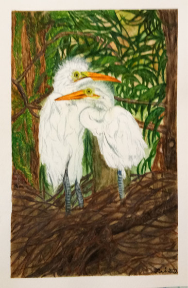 Egrets In Their Natural Habitat. (ART_8729_69108) - Handpainted Art Painting - 8 in X 12in