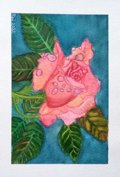 Pink Rose With Dew Drops. (ART_8729_69192) - Handpainted Art Painting - 6 in X 8in