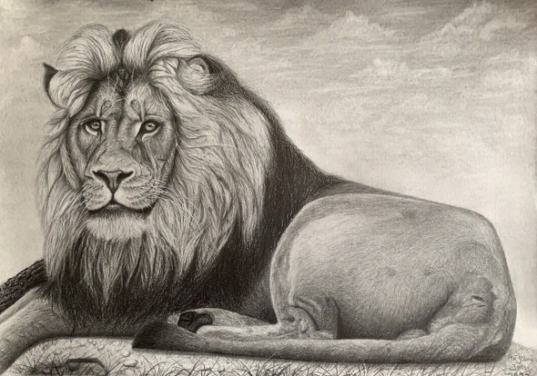 Lion (ART_8067_68888) - Handpainted Art Painting - 16in X 11in