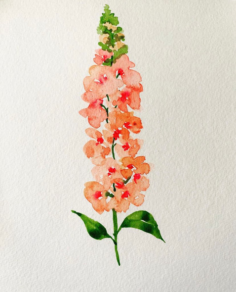 Watercolor snapdragons  (ART_8396_69566) - Handpainted Art Painting - 15in X 20in