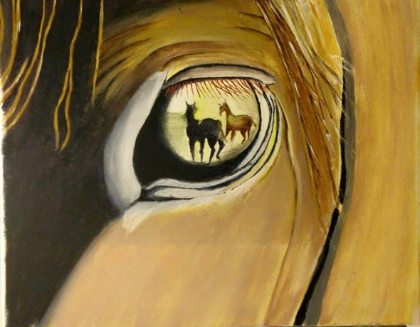 Horse eye (PRT_8778_70171) - Canvas Art Print - 18in X 16in