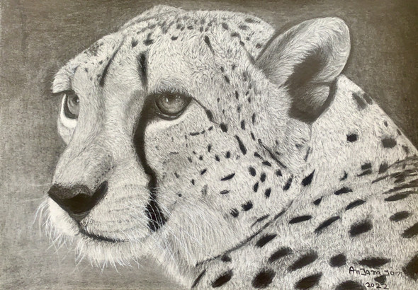 Cheetah (ART_8067_70142) - Handpainted Art Painting - 11in X 8in